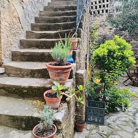 La Maison De Thomas *