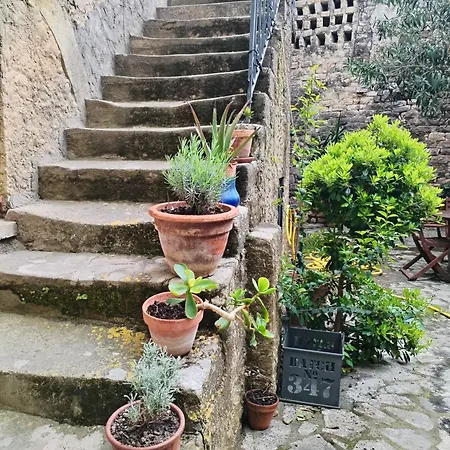 La Maison De Thomas *